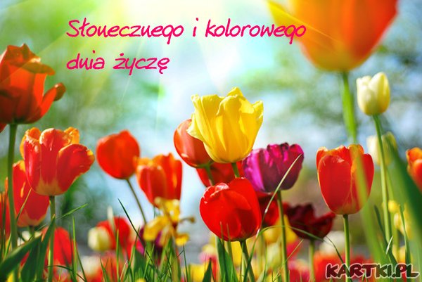 slonecznego_i_kolorowego_dnia_zycze_0.jpg