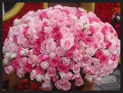 PinkRoses--sm.jpg