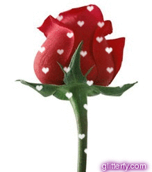 red-rose.gif