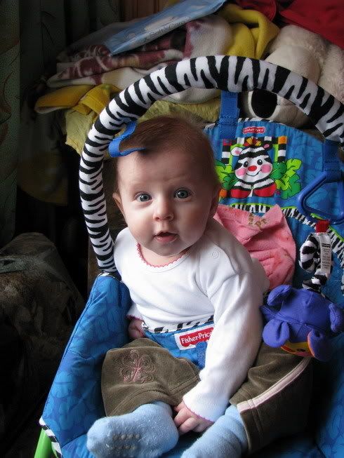 IMG_2169_resize.jpg
