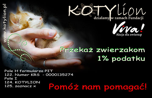 procent_kalendarz3_m.jpg