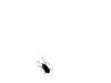robak.gif