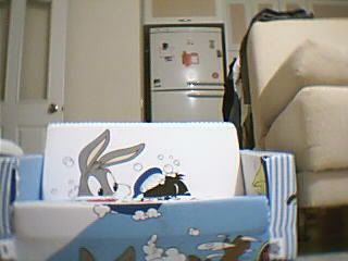 Image1.jpg