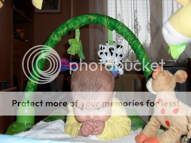 SDC11036.jpg