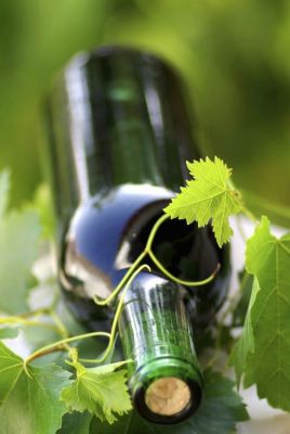 1892780_wino4.jpg