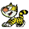 koty29.gif