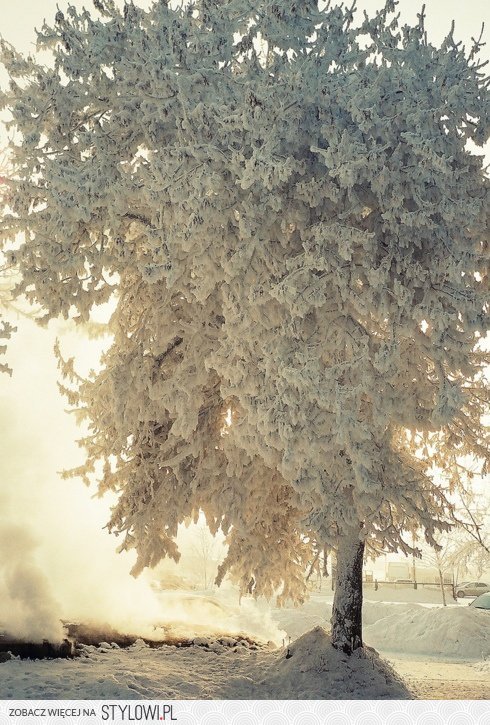 stylowi_pl_fotografia_1824527.jpg