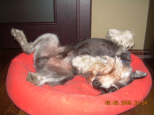 DSCN8018.JPG