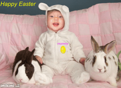 d979367fb9c8aa05.gif