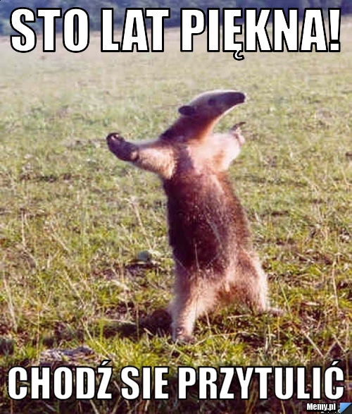 9f47847954_sto_lat_piekna.jpg