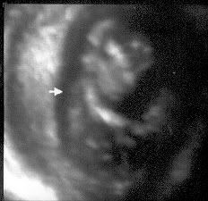 P12scan11.jpg