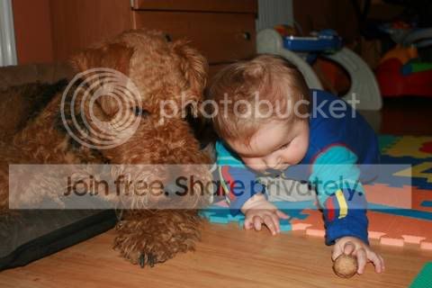 IMG_0845.jpg