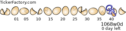 preg.png