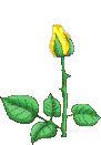 rose2a.gif