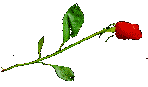 83756647d199c84c.gif