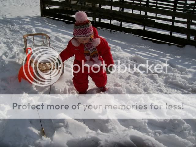 100_5013.jpg