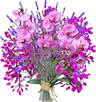 809720qp789lf9vzzo7.gif