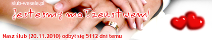 20101120310113.png