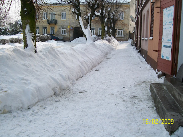 100_1907.JPG