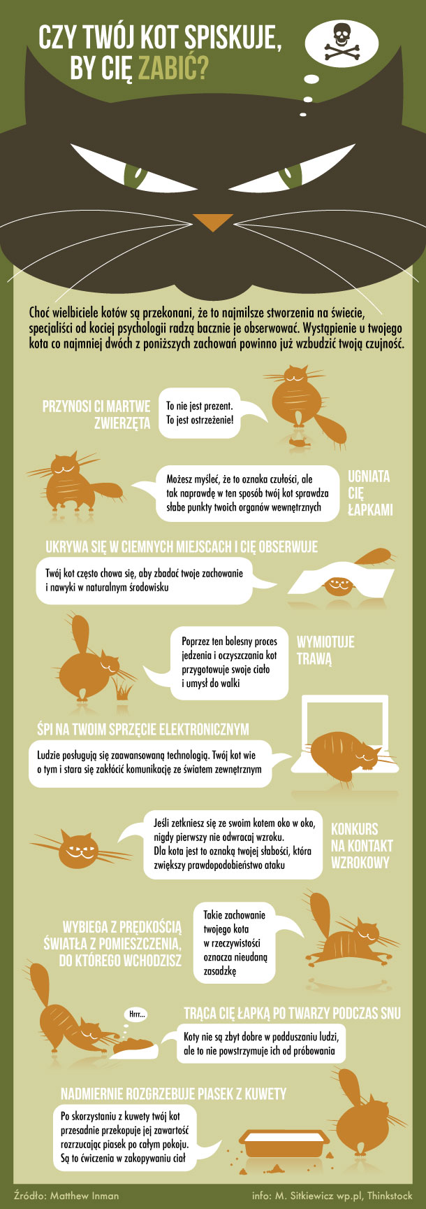 kot_morderca_infografika_610.jpeg