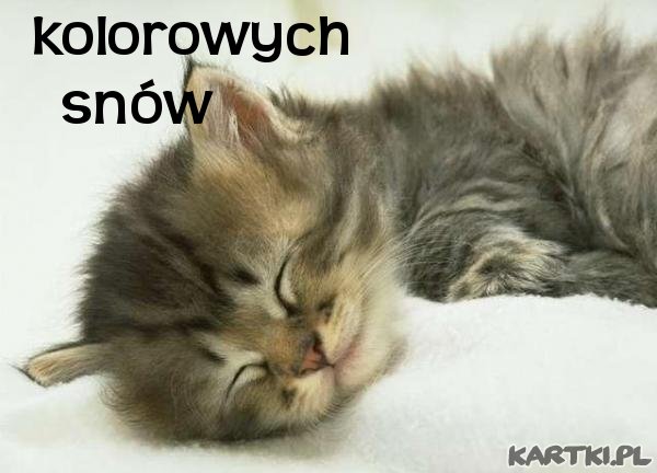 kolorowych_snow_6.jpg