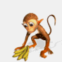 zwierzeta39_%28www.e-gify.pl%29.gif