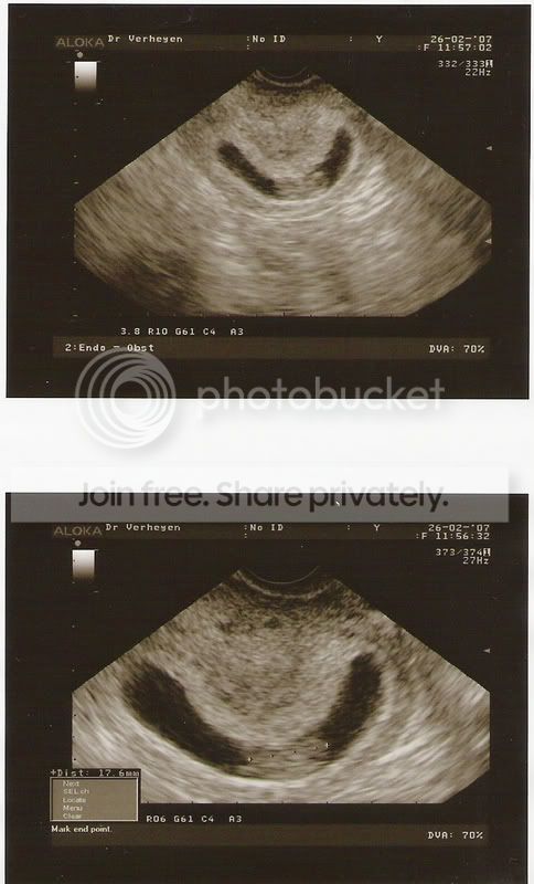 Scan0001.jpg