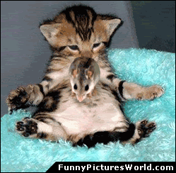 funny0202.gif