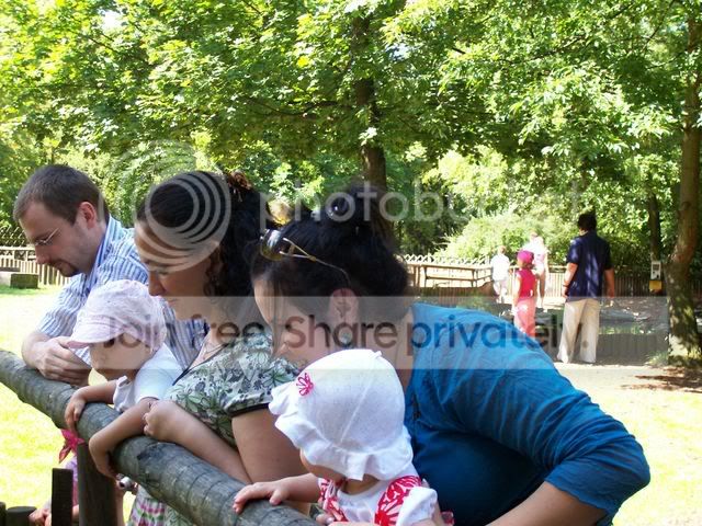 100_6543.jpg