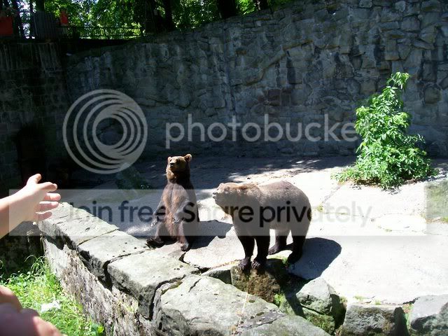 100_6564.jpg