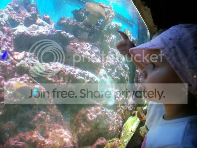 100_6596.jpg